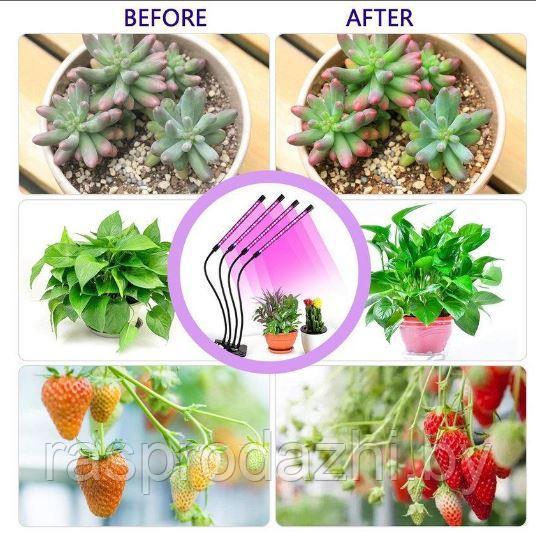 Фитолампа на 5 рожков для растений Plant Grow Light - фото 3 - id-p204268235