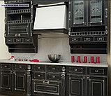 Кухни серии Люкс с фасадами из массива ясеня, ольхи, фото 2