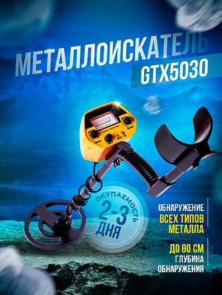 Металлоискатель GTX5030, фото 2