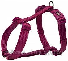 Шлея TRIXIE для собак Premium H-harness XS-S 30-44см/10мм орхидея