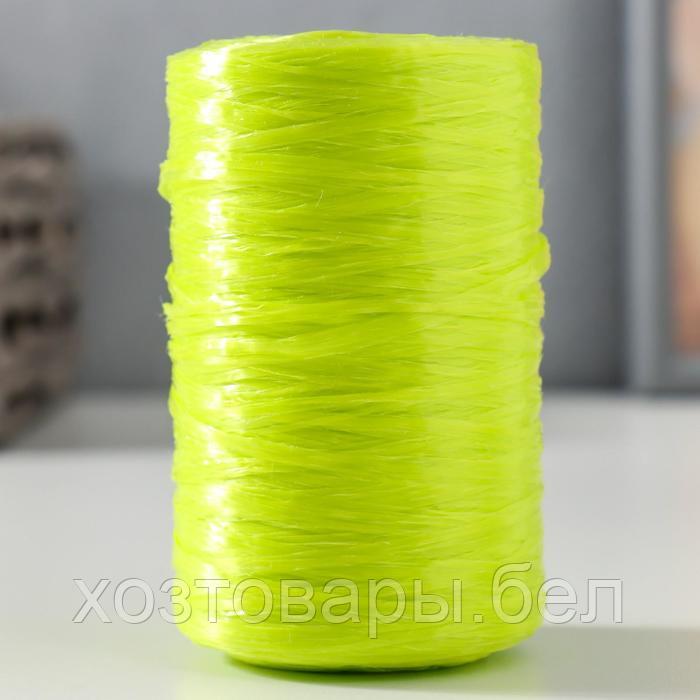 Пряжа "Для вязания мочалок" 100% полипропилен 400м/100±10 гр (лайм) - фото 1 - id-p204351837