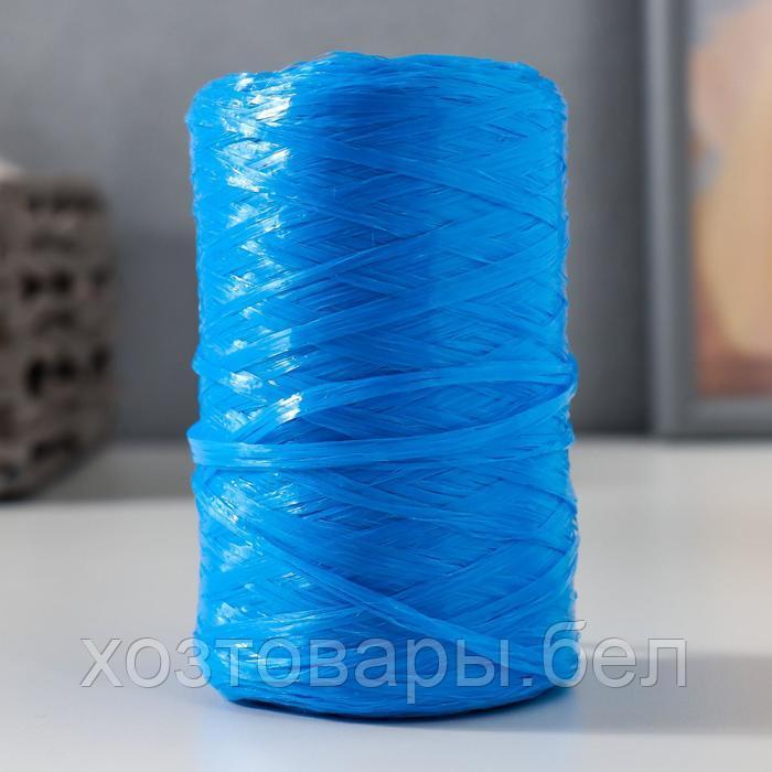 Пряжа "Для вязания мочалок" 100% полипропилен 400м/100±10 гр (василёк)