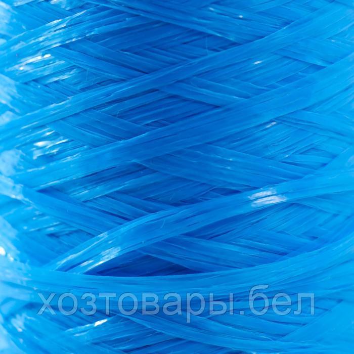 Пряжа "Для вязания мочалок" 100% полипропилен 400м/100±10 гр (василёк) - фото 3 - id-p204351839