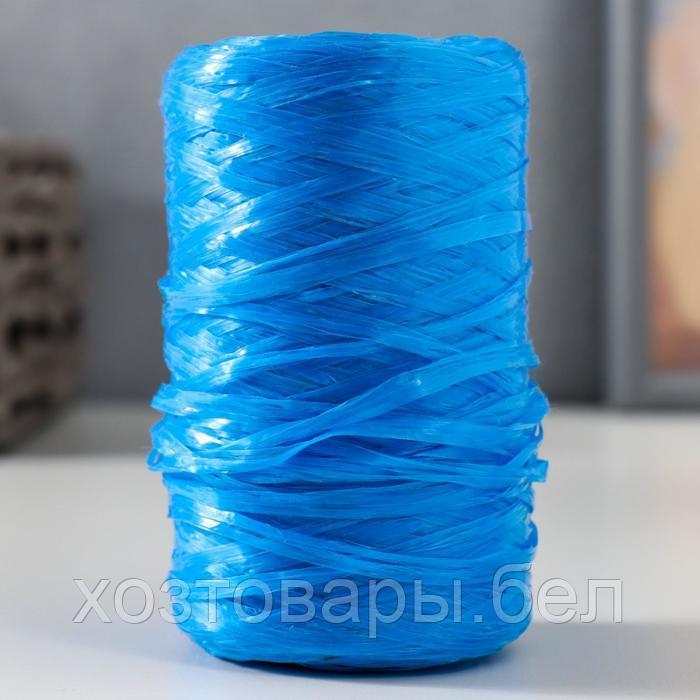 Пряжа "Для вязания мочалок" 100% полипропилен 400м/100±10 гр (синий) - фото 1 - id-p204351841