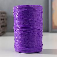 Пряжа "Для вязания мочалок" 100% полипропилен 400м/100±10 гр (фиолетовый)