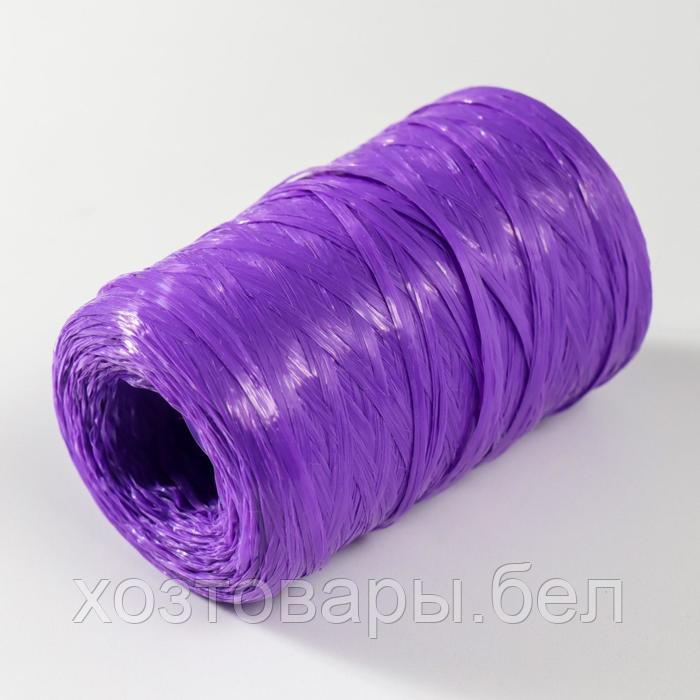 Пряжа "Для вязания мочалок" 100% полипропилен 400м/100±10 гр (фиолетовый) - фото 2 - id-p204351842