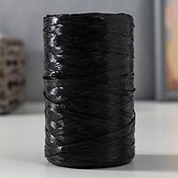 Пряжа "Для вязания мочалок" 100% полипропилен 400м/100±10 гр (черный)