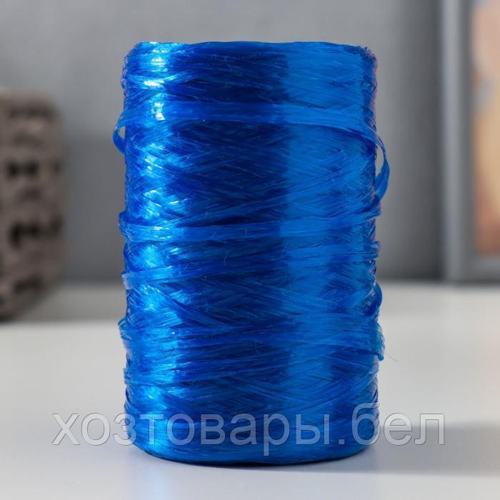 Пряжа "Для вязания мочалок" 100% полипропилен 400м/100±10 гр (синий перламутр)