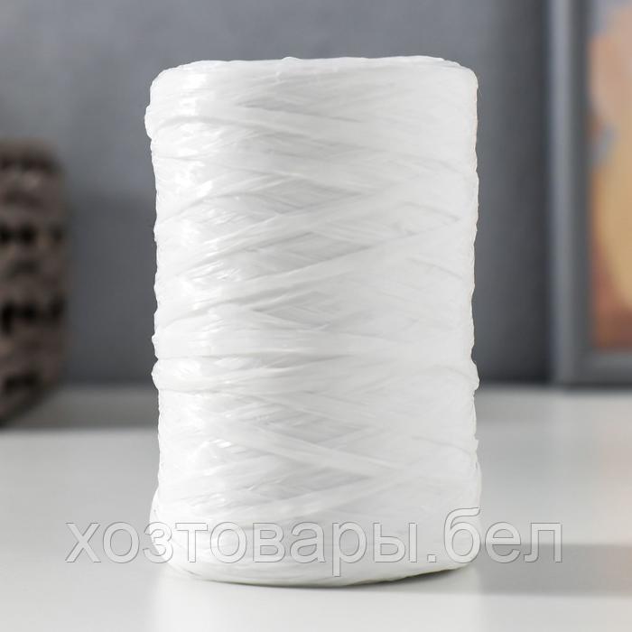 Пряжа "Для вязания мочалок" 100% полипропилен 400м/100±10 гр (белый матовый)