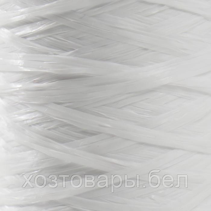 Пряжа "Для вязания мочалок" 100% полипропилен 400м/100±10 гр (белый матовый) - фото 3 - id-p204351851