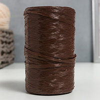 Пряжа "Для вязания мочалок" 100% полипропилен 400м/100±10 гр (мол.шоколад)