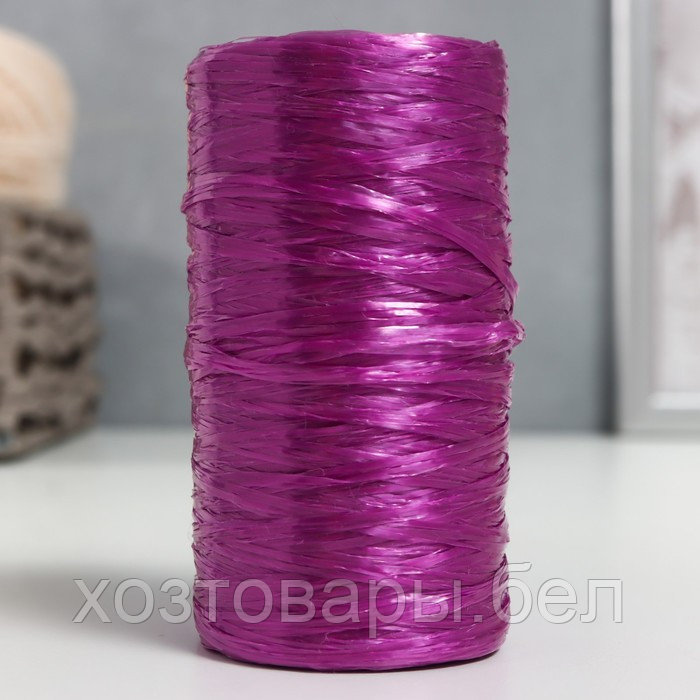 Пряжа "Для вязания мочалок" 100% полипропилен 300м/75±10 гр (слива)