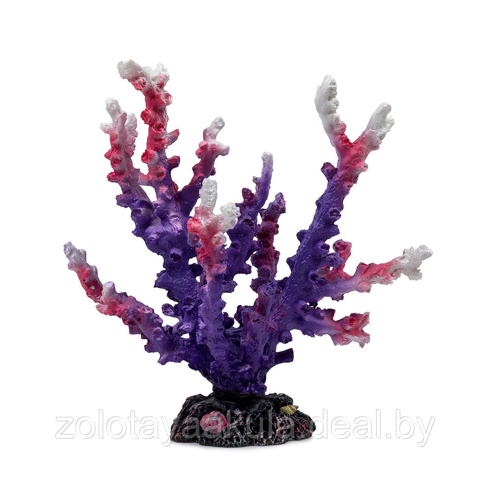 Декорация для аквариума Silver Berg Ветка коралла фиолетовая 19*11*19см, №766 - фото 1 - id-p204359060