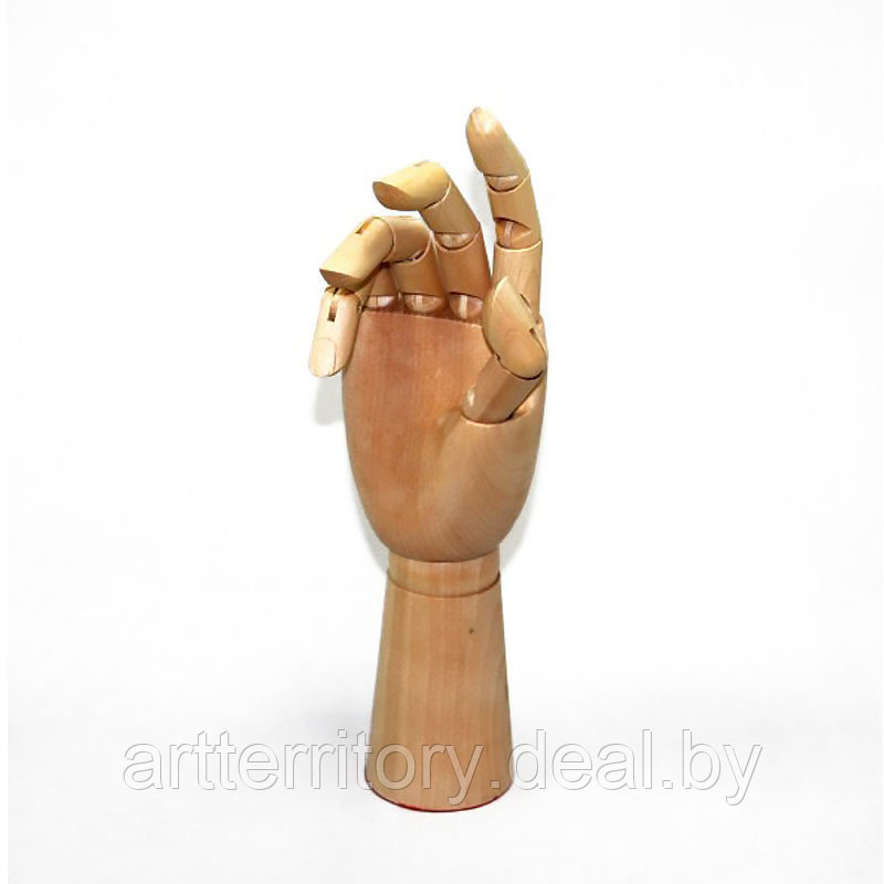 Модель "рука", 30 см, мужская правая - фото 1 - id-p204363713