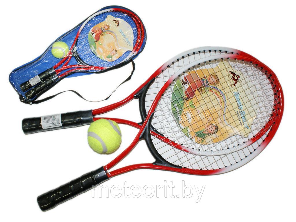 Набор для игры в теннис - фото 1 - id-p204375737