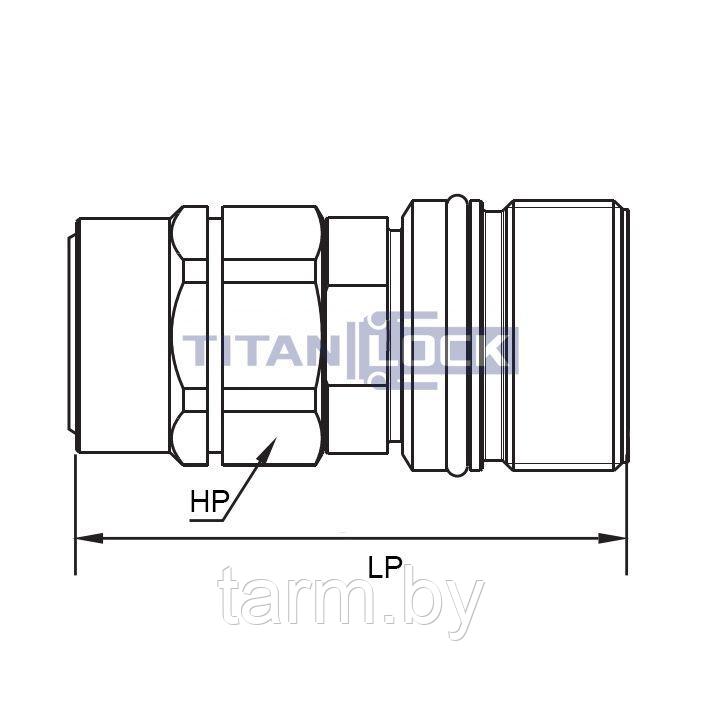 БРС ниппель 3/4in серия N (CVV, ISO 14541) резьбовая, оцинк. сталь TL6NM TITAN LOCK - фото 2 - id-p204381360