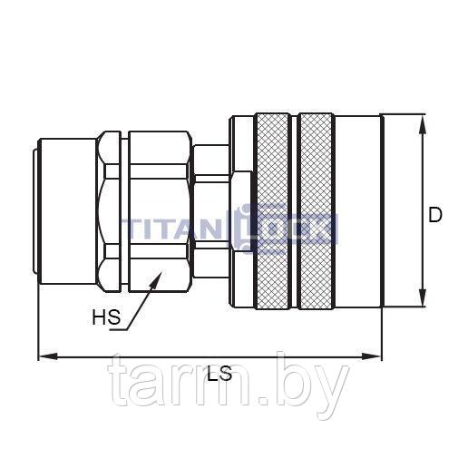 БРС розетка 3/4in серия N (CVV, ISO 14541) резьбовая, оцинк. сталь TL6NF TITAN LOCK - фото 2 - id-p204381573