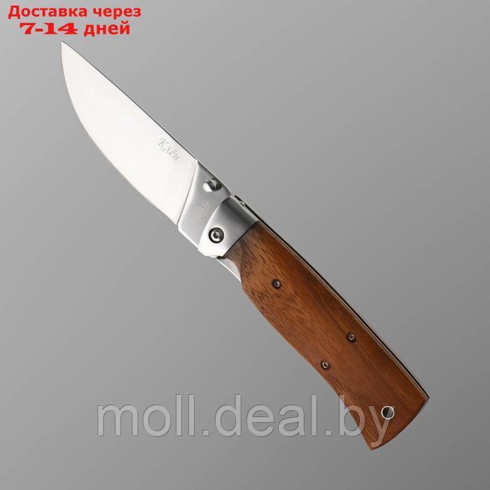 Нож складной "Клён" сталь 65х13, рукоять - гикори, 23 см - фото 2 - id-p204353809