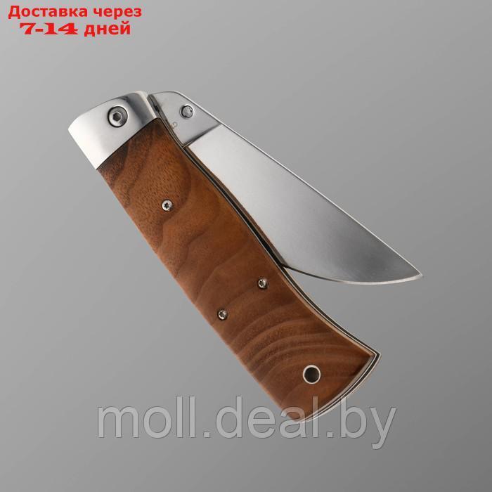 Нож складной "Клён" сталь 65х13, рукоять - гикори, 23 см - фото 4 - id-p204353809