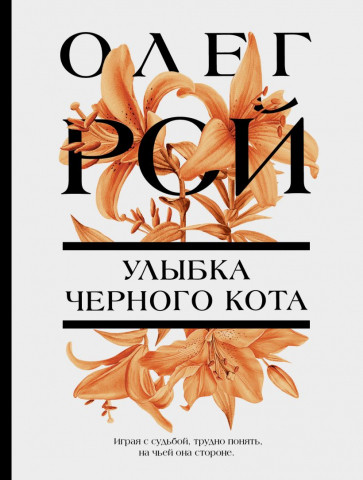 Книга «Улыбка черного кота» 125*165*22 мм, 320 страниц, 16+ - фото 2 - id-p204398899