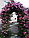 Арка садовая  для вьющихся растений (240*140*37см) трубка 13*0,35мм, фото 3