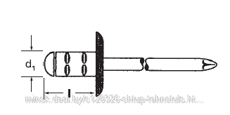 ЗАКЛЕПКИ PolyGrip®