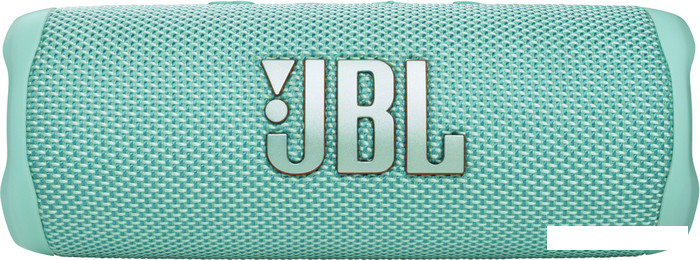 Беспроводная колонка JBL Flip 6 (бирюзовый)