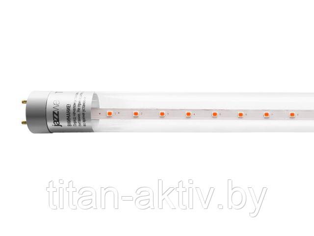 Лампа PLED T8-600 8 Вт для растений AGRO G13 CL JAZZWAY (для растений, цвет свечения: красный 650 нм