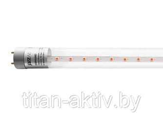 Лампа PLED T8-600 8 Вт для растений AGRO G13 CL JAZZWAY (для растений, цвет свечения: красный 650 нм