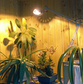 Лампа натриевая для рассады