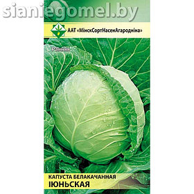 КАПУСТА ИЮНЬСКАЯ БЕЛОКАЧАННАЯ