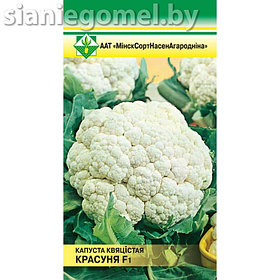 КАПУСТА КРАСАВИЦА ЦВЕТНАЯ