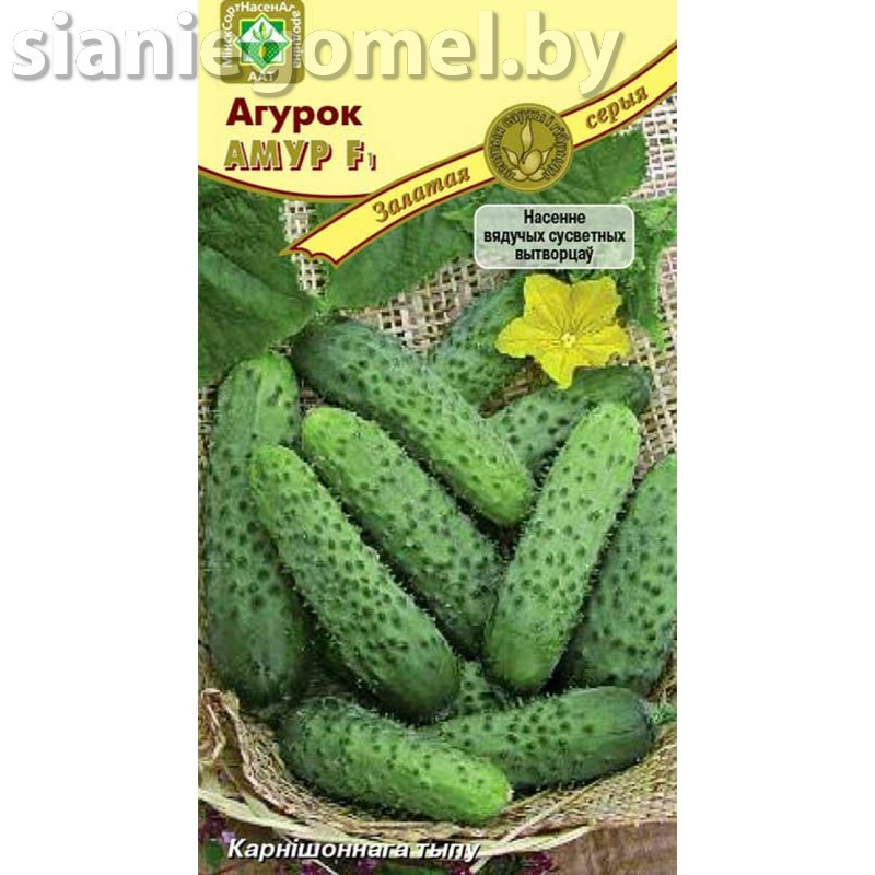 ОГУРЕЦ АМУР F1