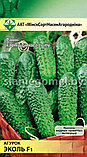 ОГУРЕЦ ЭКОЛЬ F1, фото 2