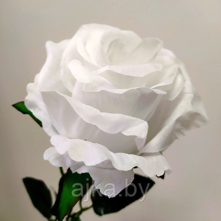 Роза одиночная 67 см, белая - фото 4 - id-p204452679