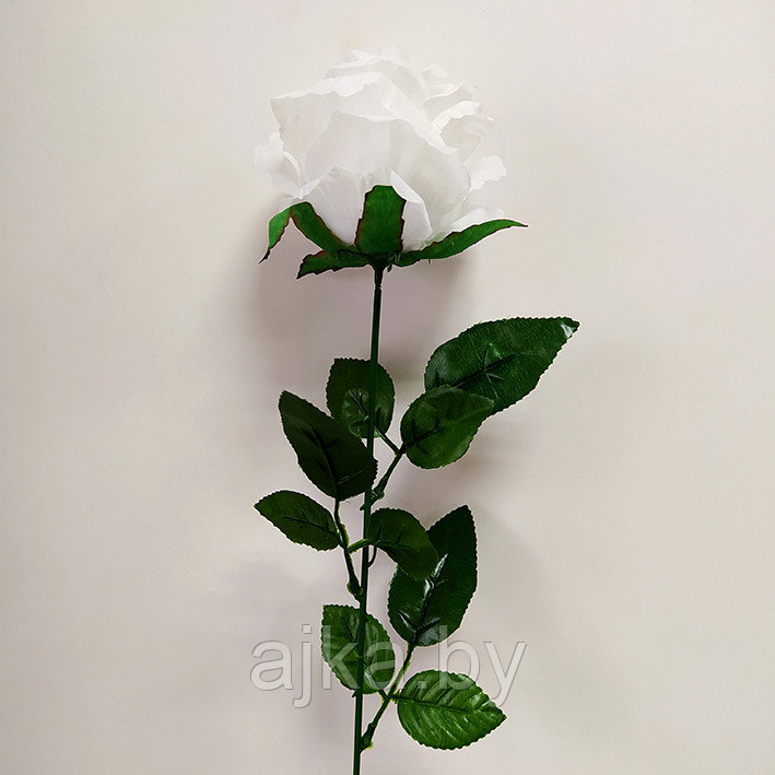 Роза одиночная 67 см, белая - фото 2 - id-p204452679