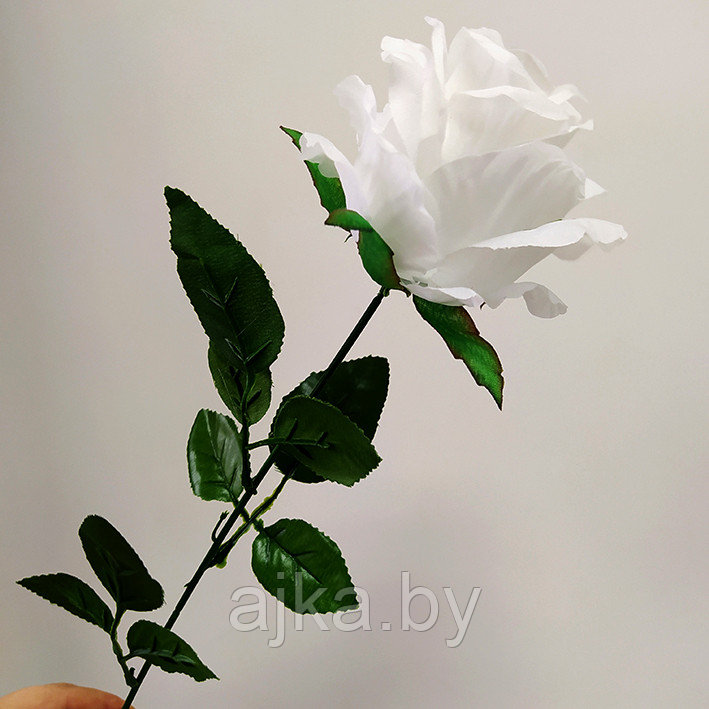 Роза одиночная 67 см, белая - фото 1 - id-p204452679