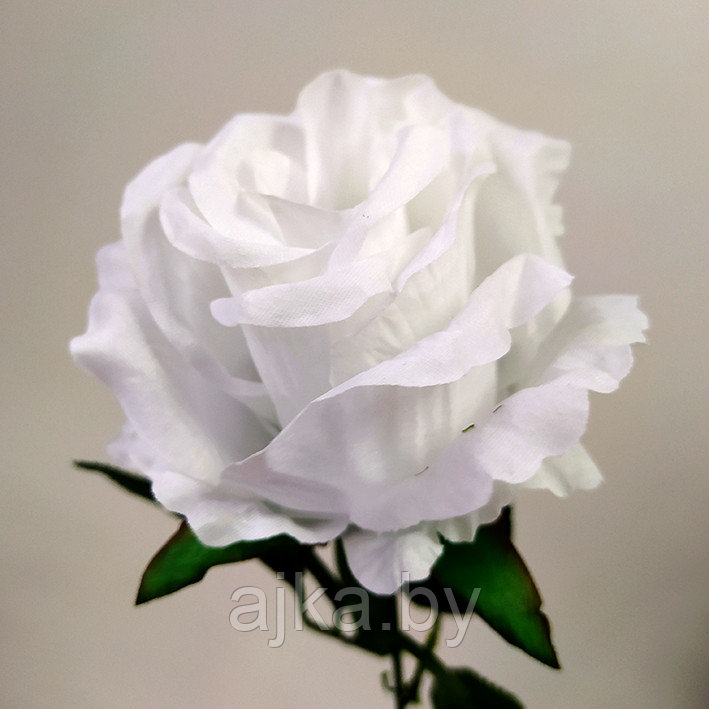 Роза одиночная 67 см, белая - фото 5 - id-p204452679