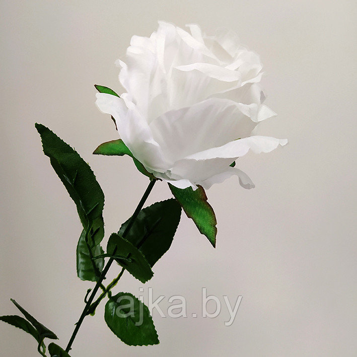 Роза одиночная 67 см, белая - фото 6 - id-p204452679