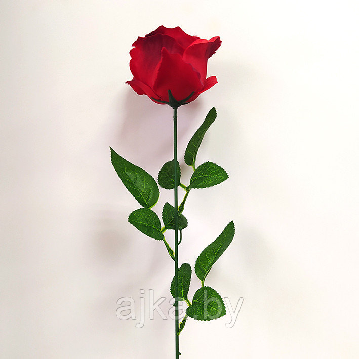 Роза одиночная 65 см, красная - фото 2 - id-p204452687