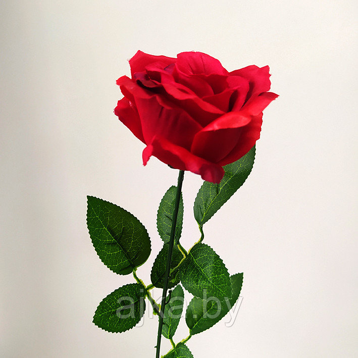 Роза одиночная 65 см, красная - фото 3 - id-p204452687