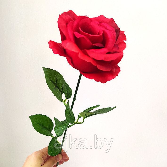 Роза одиночная 65 см, красная - фото 1 - id-p204452687