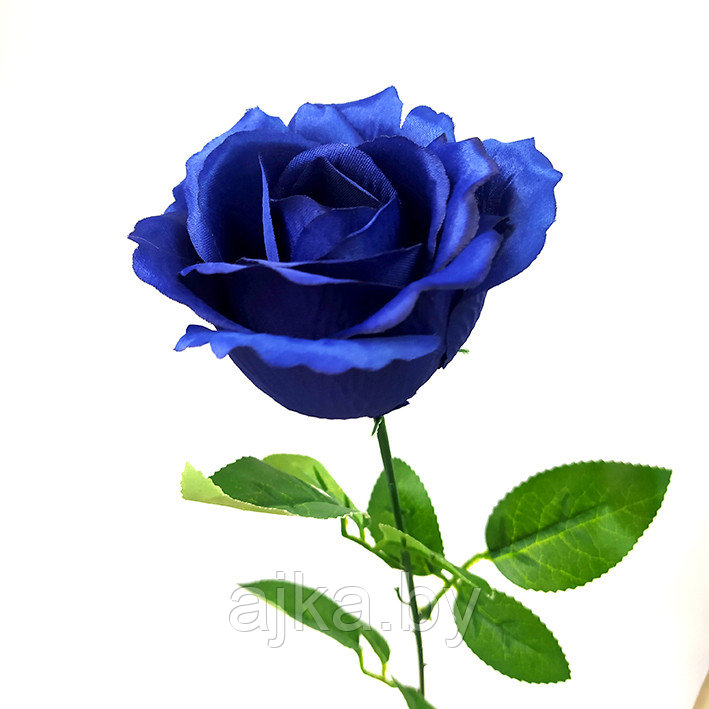 Роза одиночная 65 см, синяя - фото 1 - id-p204452697