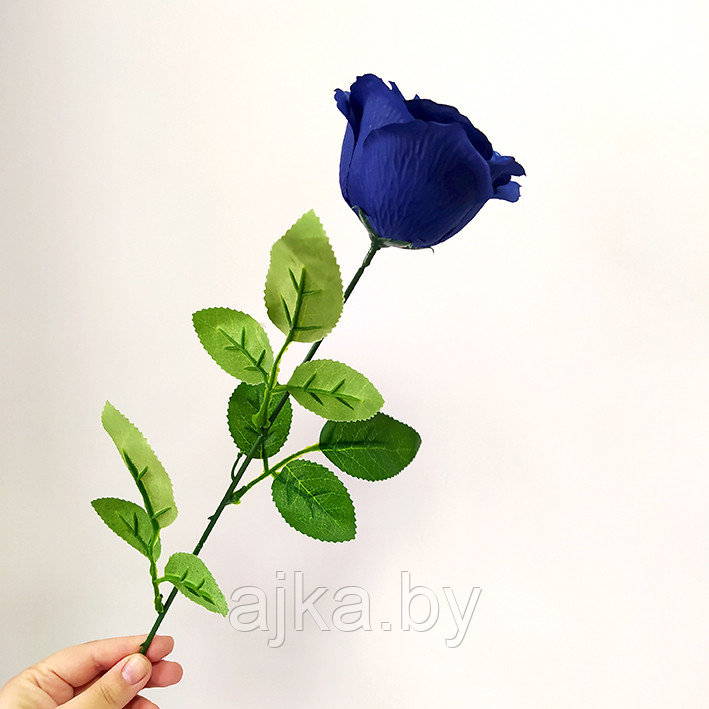 Роза одиночная 65 см, синяя - фото 7 - id-p204452697
