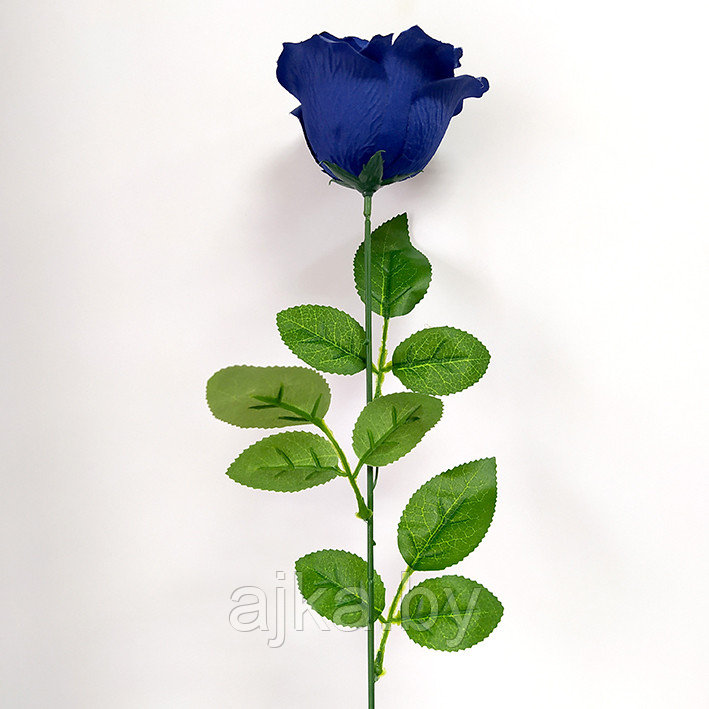 Роза одиночная 65 см, синяя - фото 3 - id-p204452697
