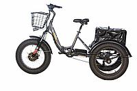 Велосипед электрический трицикл E-motions Panda 750W