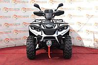 Квадроцикл стелс Linhai 300 ATV-3D 44