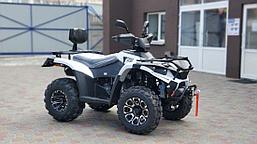 Квадроцикл atv 300 Linhai 300 ATV-3D 44, фото 2