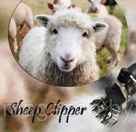 Машинка для стрижки овец Sheep Clipper ST-003 540 Вт - фото 4 - id-p204468456