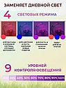 Фитолампа-светильник для выращивания растений LED Grow Light (2 лепестка), фото 3